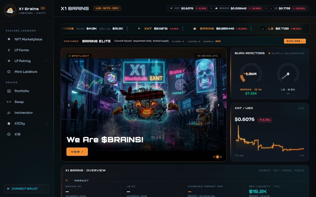 X1 Brains DeFi Hub preview