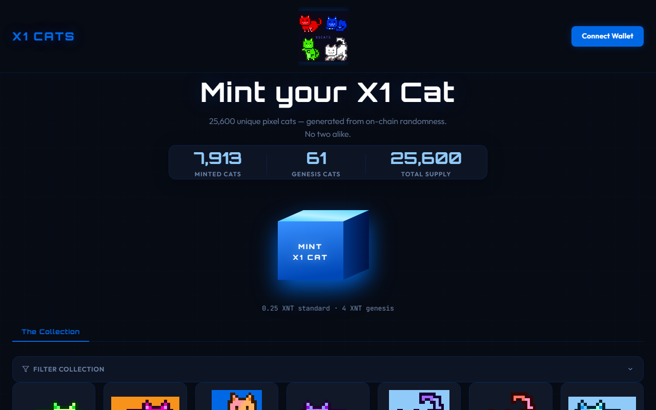 X1 Cats preview